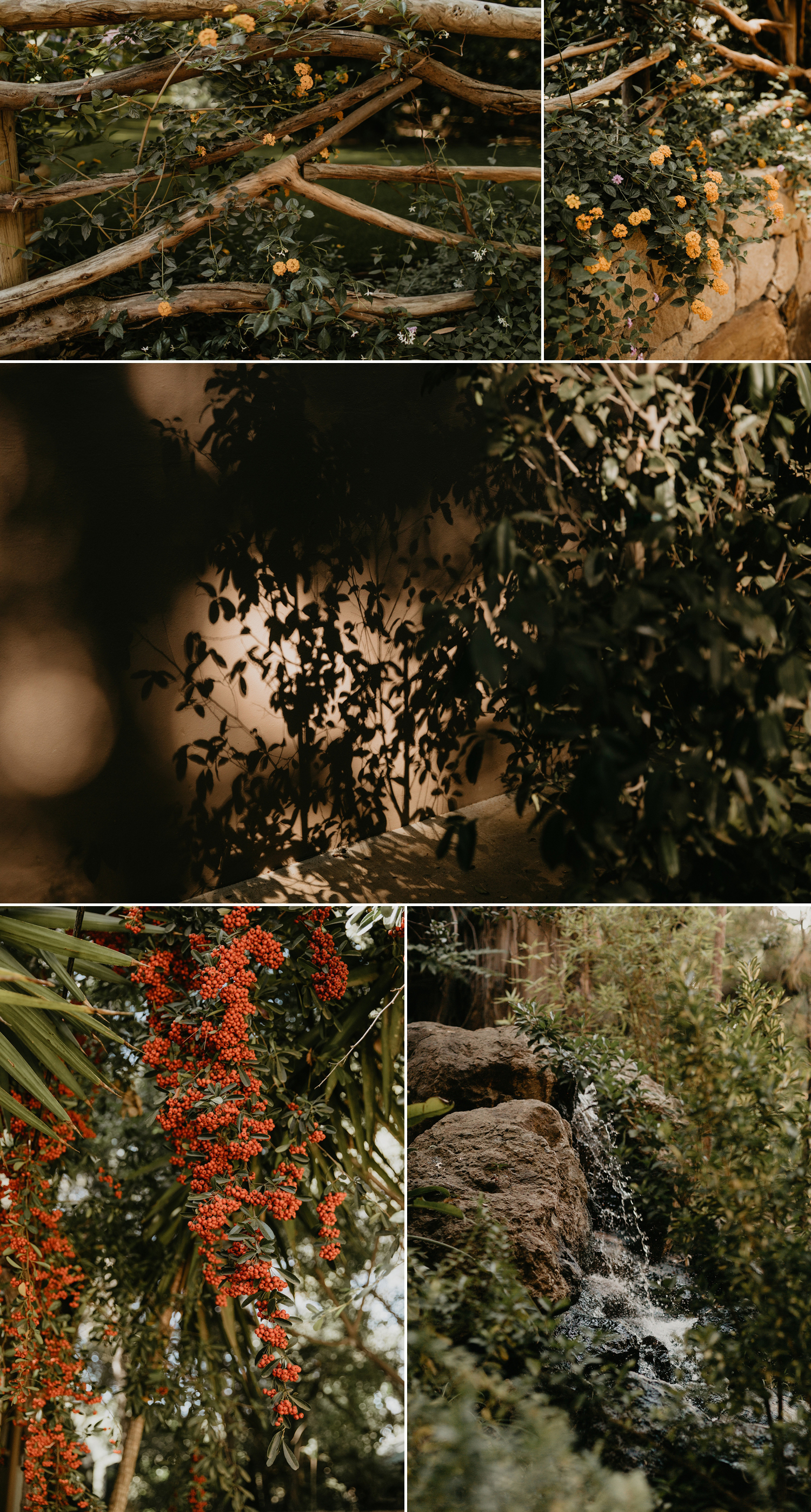 A festival themed wedding at Calamigos Ranch in Malibu, California by Kadi Tobin Photographer