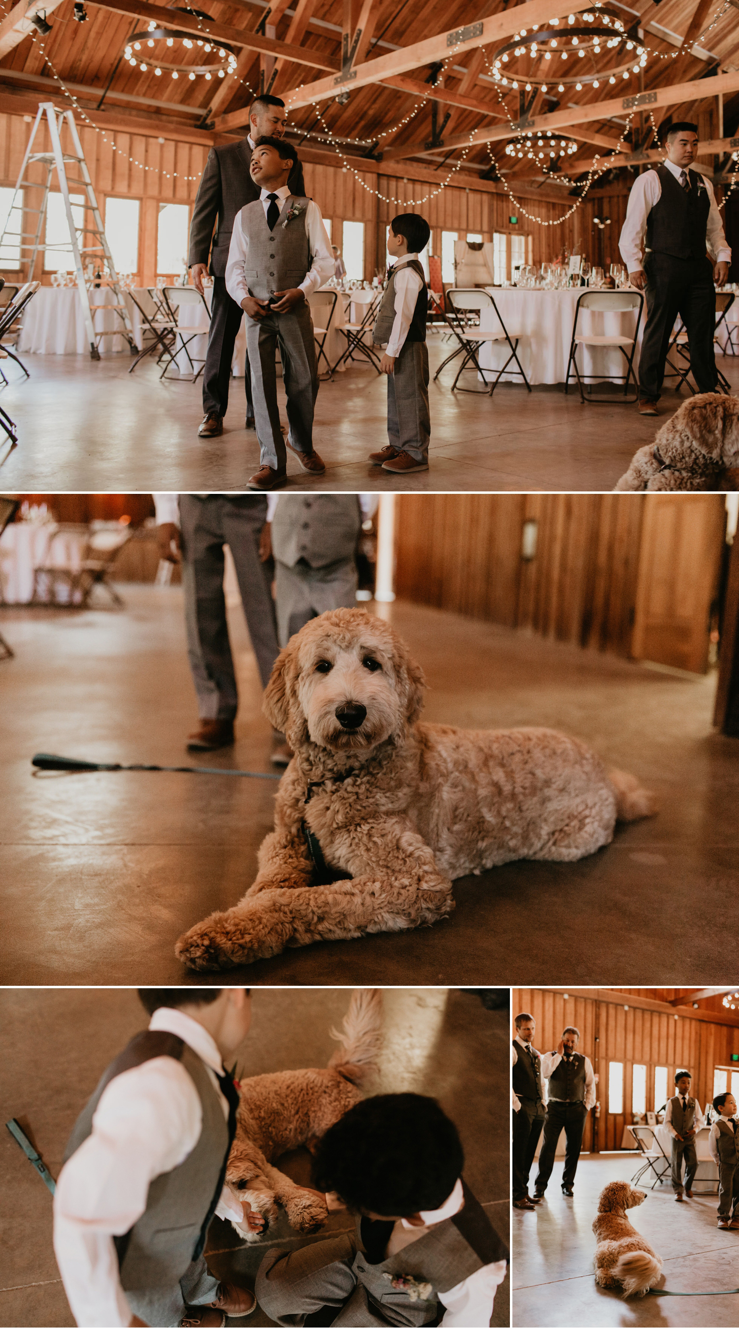 A celtic style Santa Cruz Redwoods wedding at Roaring Camp by Kadi Tobin, a Santa Cruz wedding Photographer