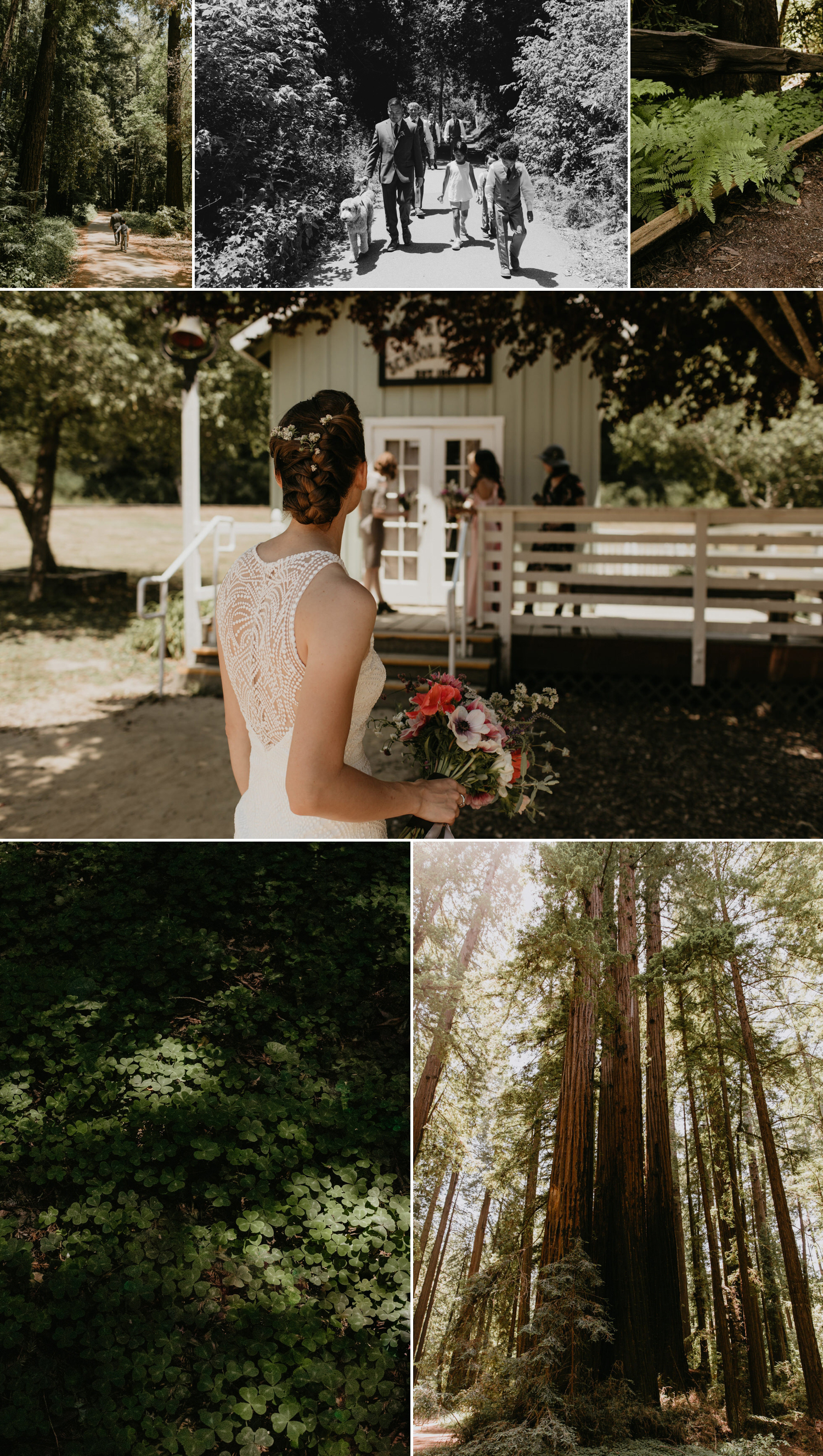 A celtic style Santa Cruz Redwoods wedding at Roaring Camp by Kadi Tobin, a Santa Cruz wedding Photographer