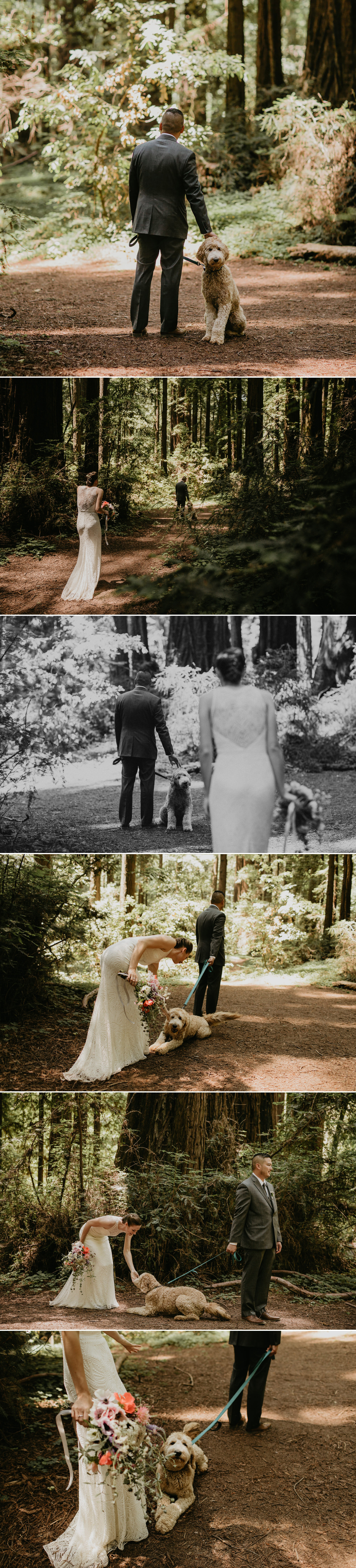 A celtic style Santa Cruz Redwoods wedding at Roaring Camp by Kadi Tobin, a Santa Cruz wedding Photographer