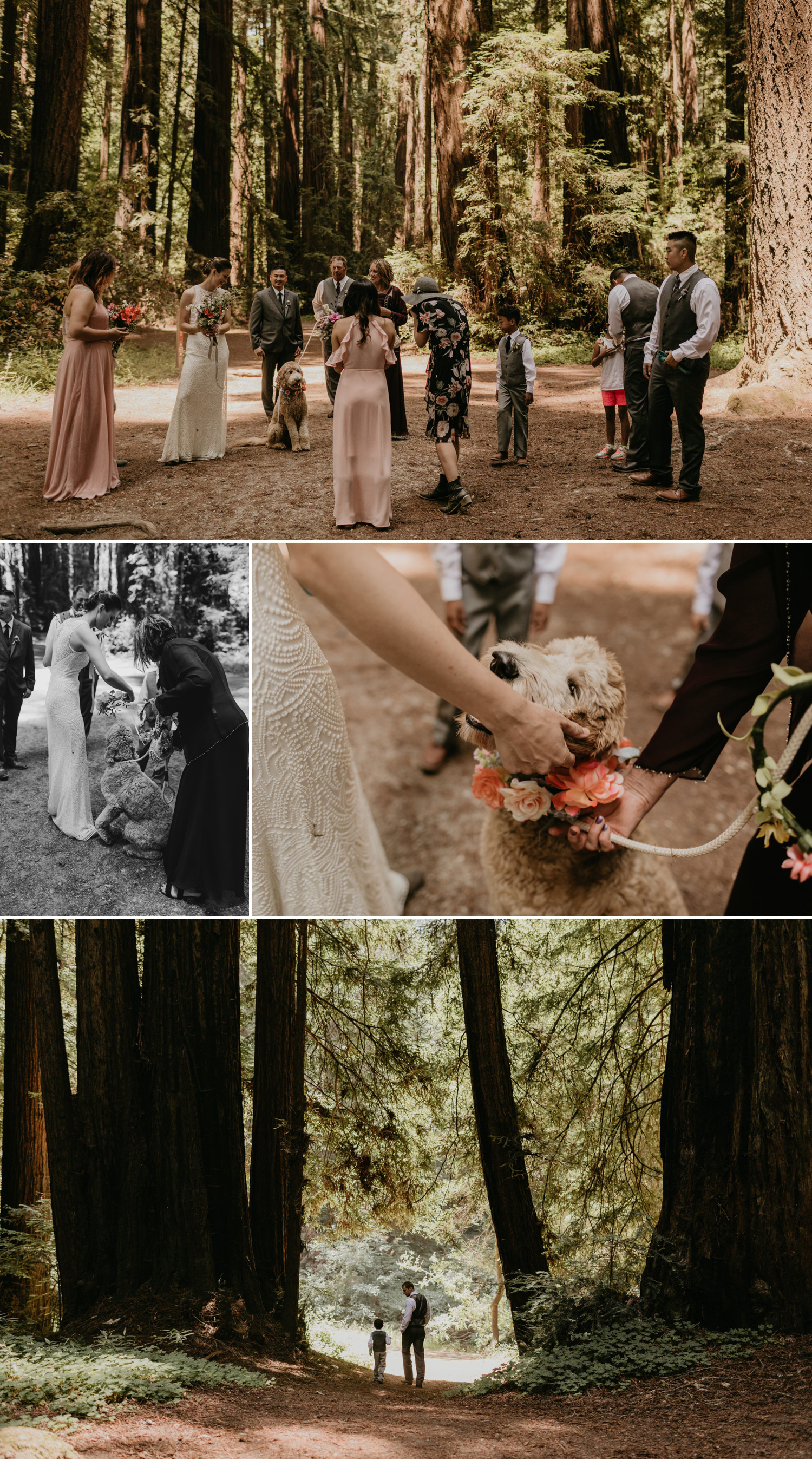 A celtic style Santa Cruz Redwoods wedding at Roaring Camp by Kadi Tobin, a Santa Cruz wedding Photographer