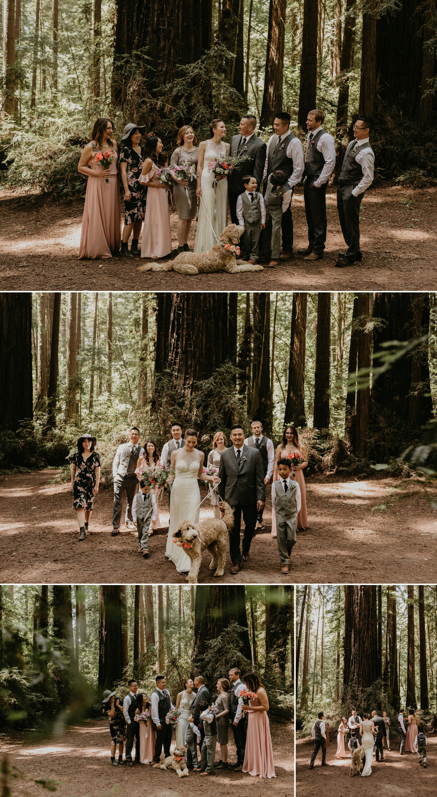 A celtic style Santa Cruz Redwoods wedding at Roaring Camp by Kadi Tobin, a Santa Cruz wedding Photographer