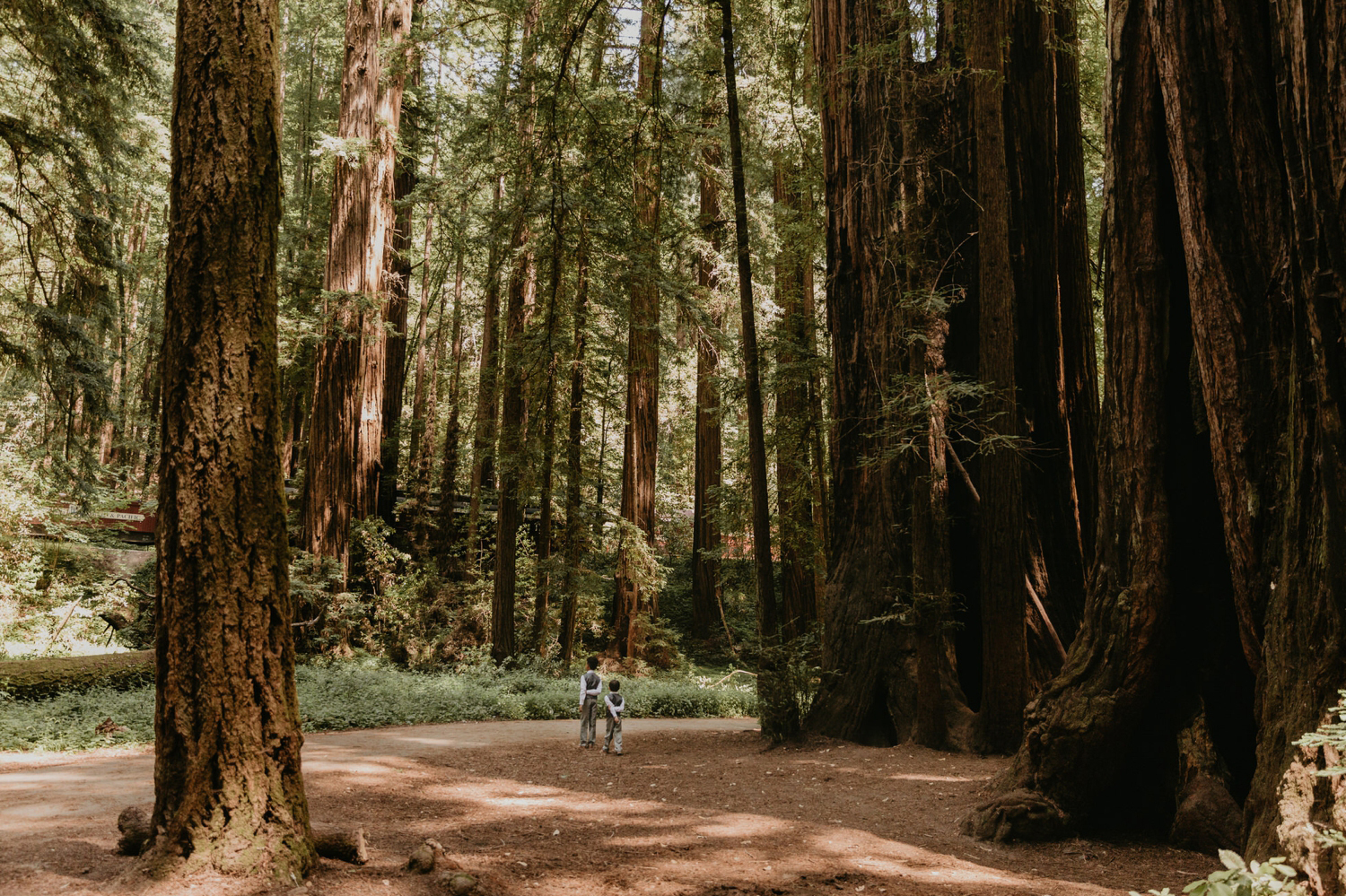 A celtic style Santa Cruz Redwoods wedding at Roaring Camp by Kadi Tobin, a Santa Cruz wedding Photographer