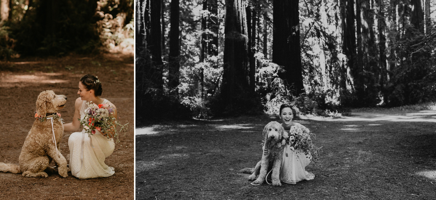 A celtic style Santa Cruz Redwoods wedding at Roaring Camp by Kadi Tobin, a Santa Cruz wedding Photographer