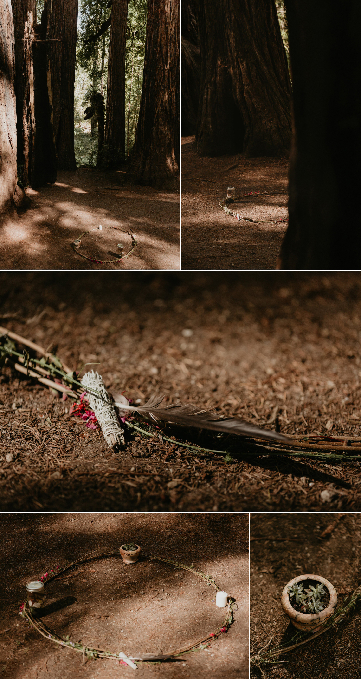 A celtic style Santa Cruz Redwoods wedding at Roaring Camp by Kadi Tobin, a Santa Cruz wedding Photographer