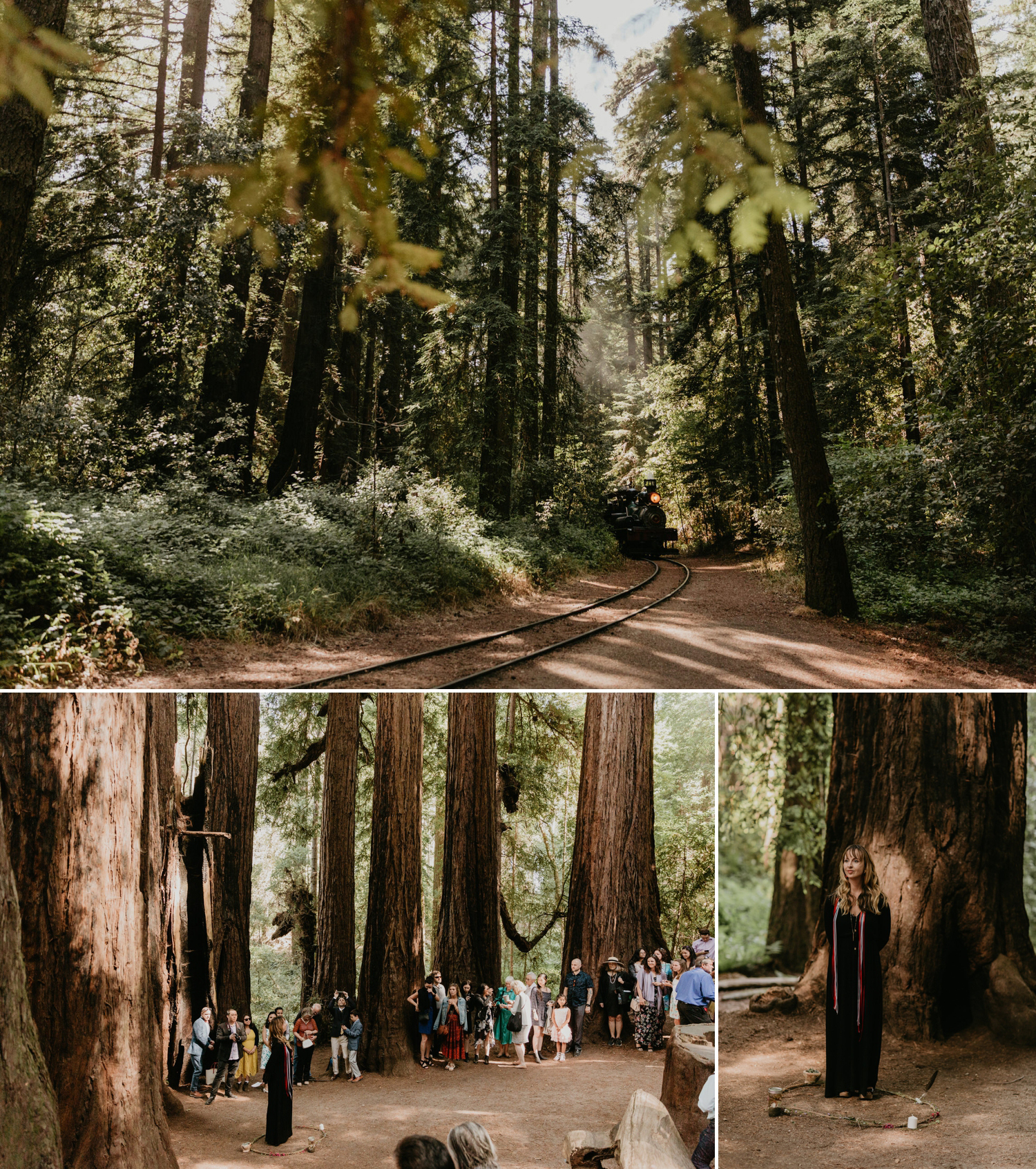 A celtic style Santa Cruz Redwoods wedding at Roaring Camp by Kadi Tobin, a Santa Cruz wedding Photographer