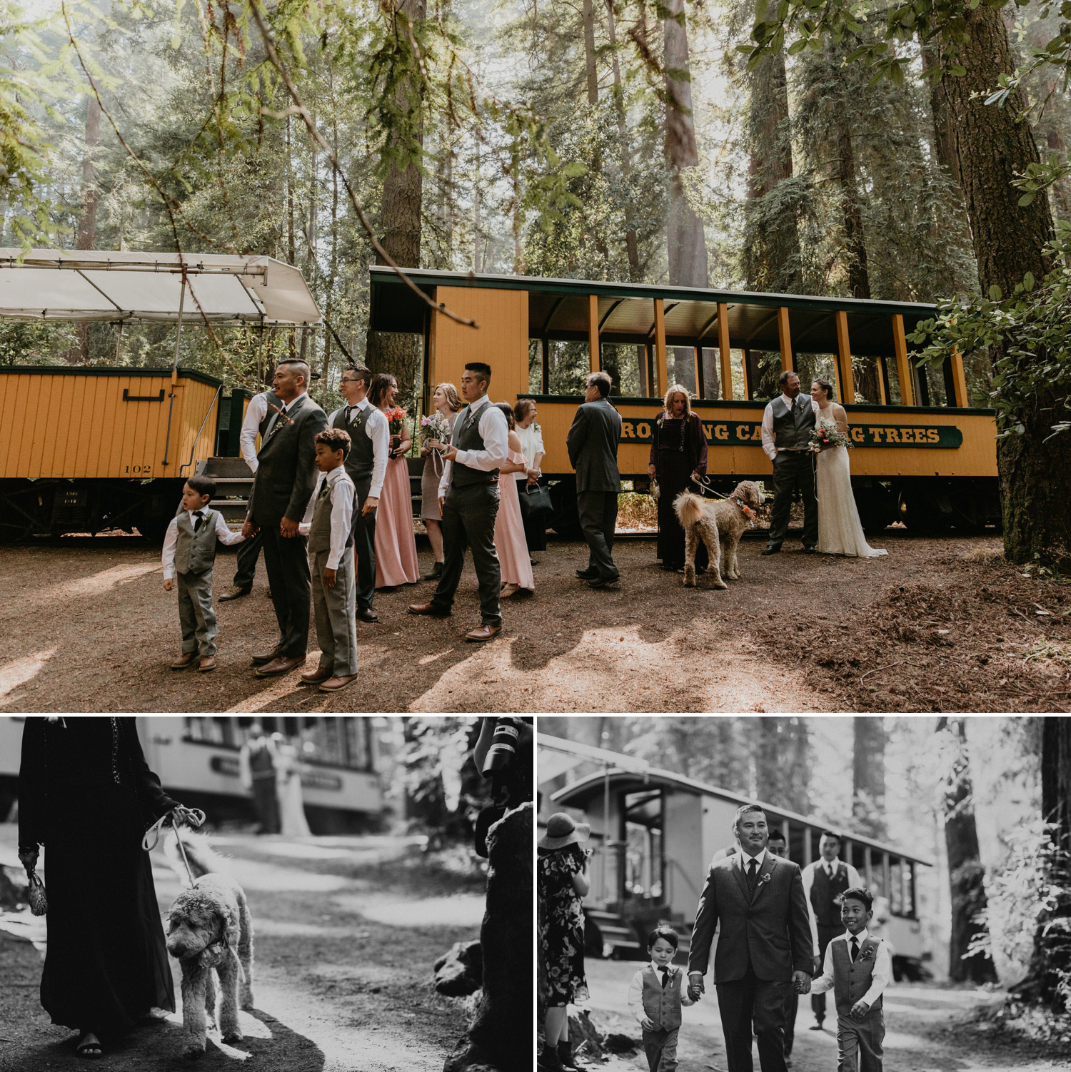 A celtic style Santa Cruz Redwoods wedding at Roaring Camp by Kadi Tobin, a Santa Cruz wedding Photographer