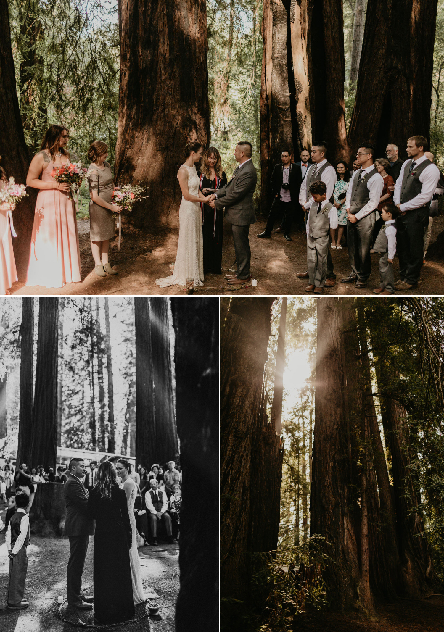 A celtic style Santa Cruz Redwoods wedding at Roaring Camp by Kadi Tobin, a Santa Cruz wedding Photographer