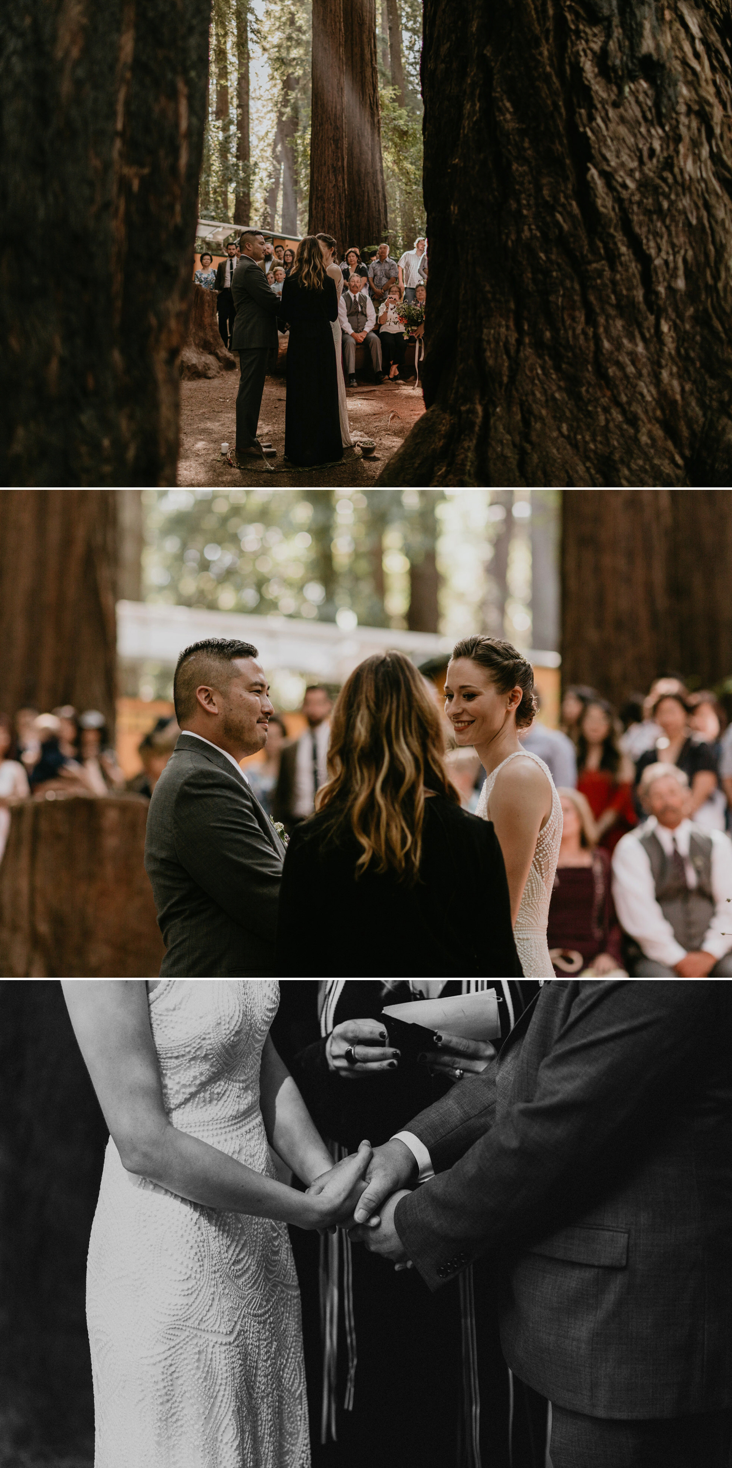 A celtic style Santa Cruz Redwoods wedding at Roaring Camp by Kadi Tobin, a Santa Cruz wedding Photographer