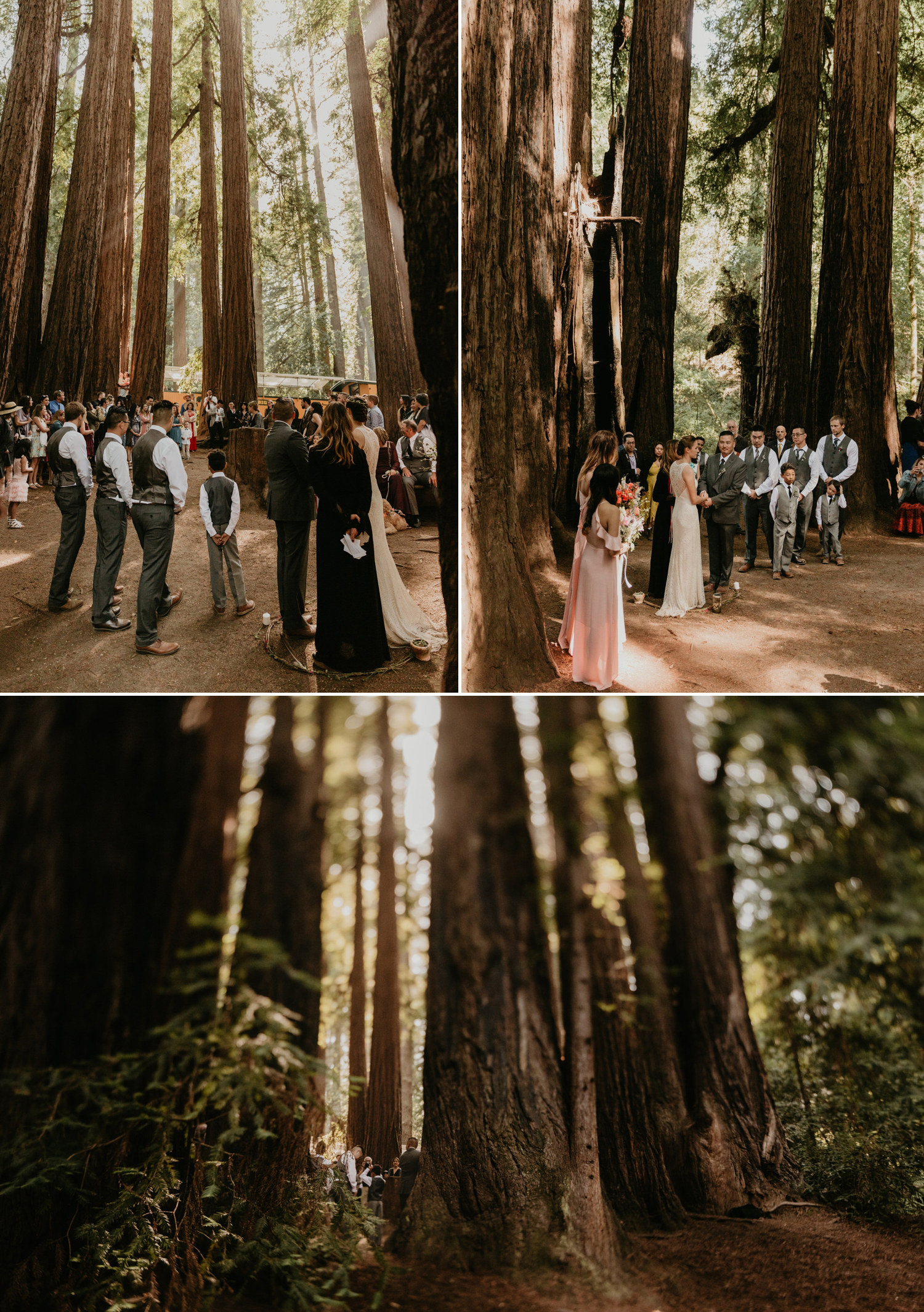 A celtic style Santa Cruz Redwoods wedding at Roaring Camp by Kadi Tobin, a Santa Cruz wedding Photographer