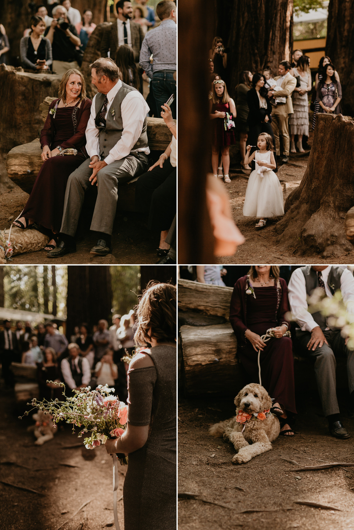 A celtic style Santa Cruz Redwoods wedding at Roaring Camp by Kadi Tobin, a Santa Cruz wedding Photographer