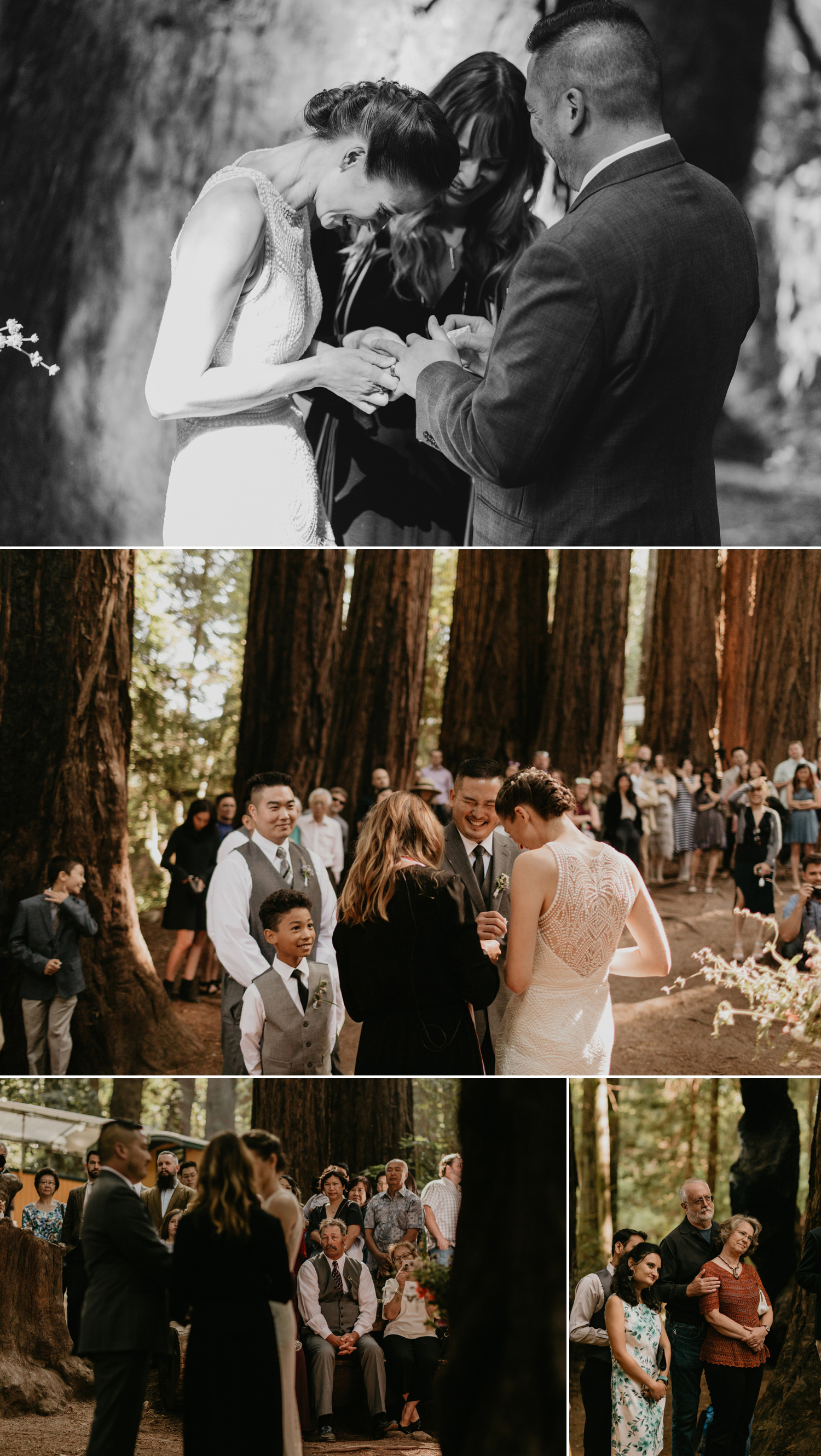 A celtic style Santa Cruz Redwoods wedding at Roaring Camp by Kadi Tobin, a Santa Cruz wedding Photographer