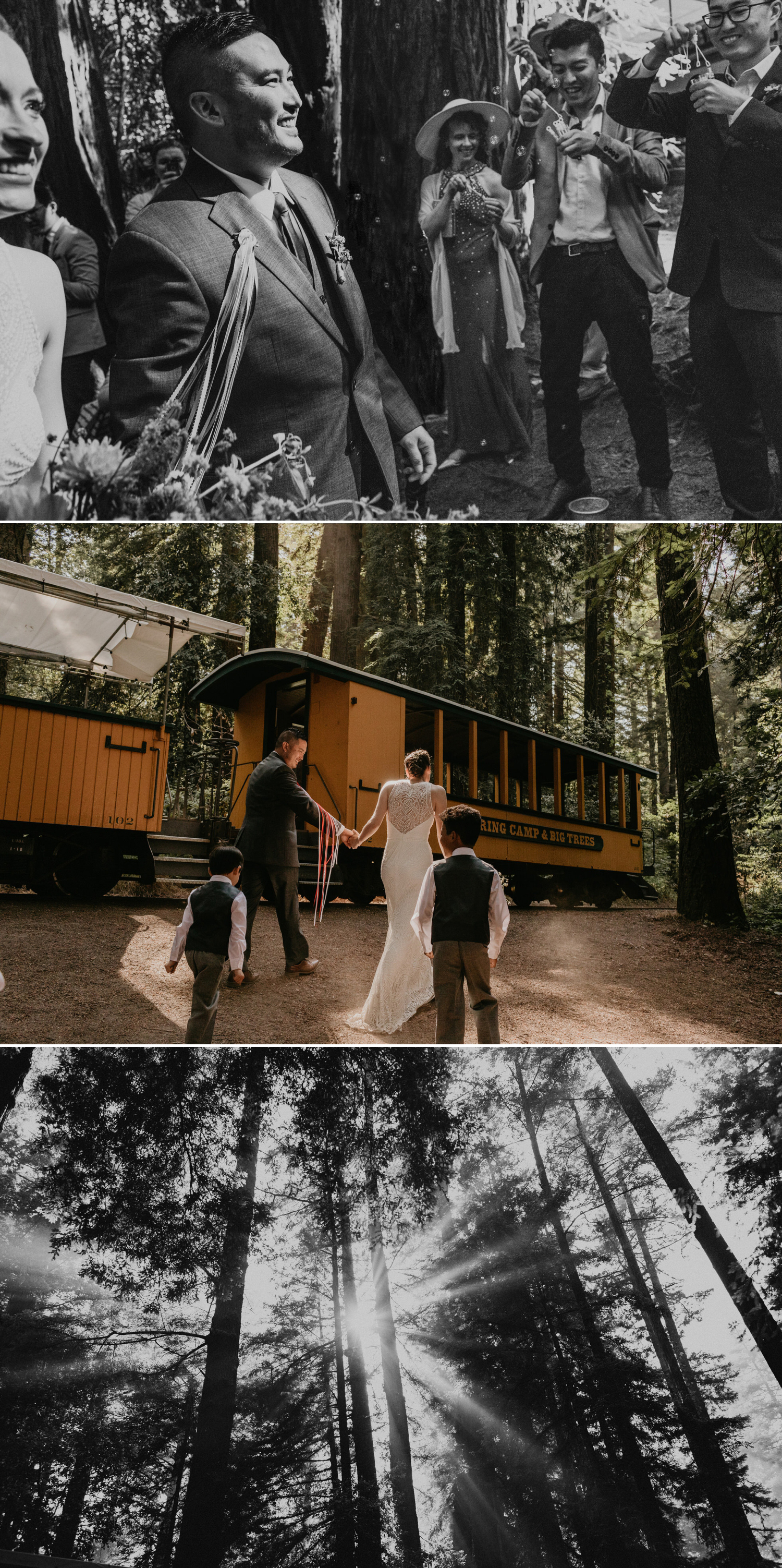 A celtic style Santa Cruz Redwoods wedding at Roaring Camp by Kadi Tobin, a Santa Cruz wedding Photographer