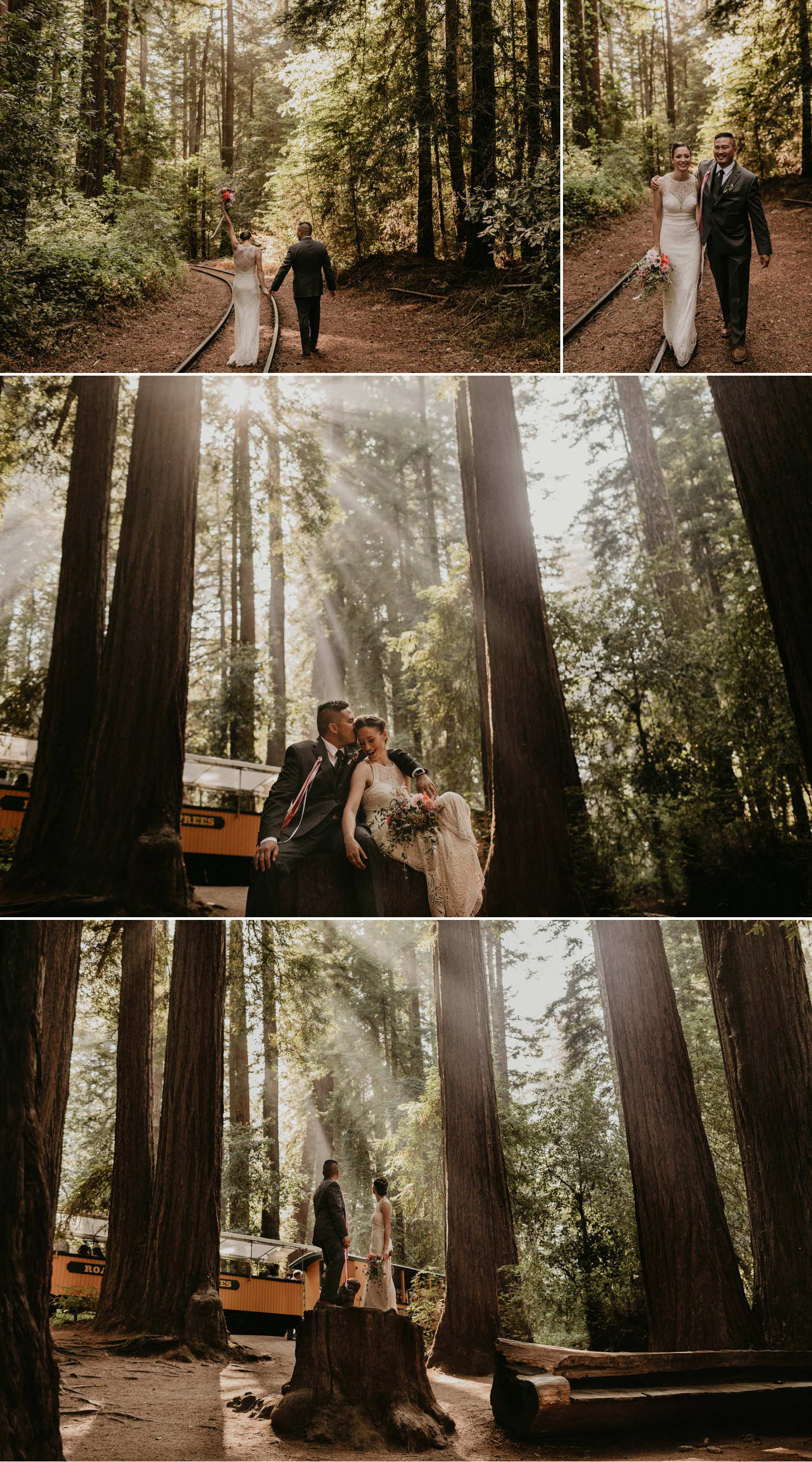 A celtic style Santa Cruz Redwoods wedding at Roaring Camp by Kadi Tobin, a Santa Cruz wedding Photographer