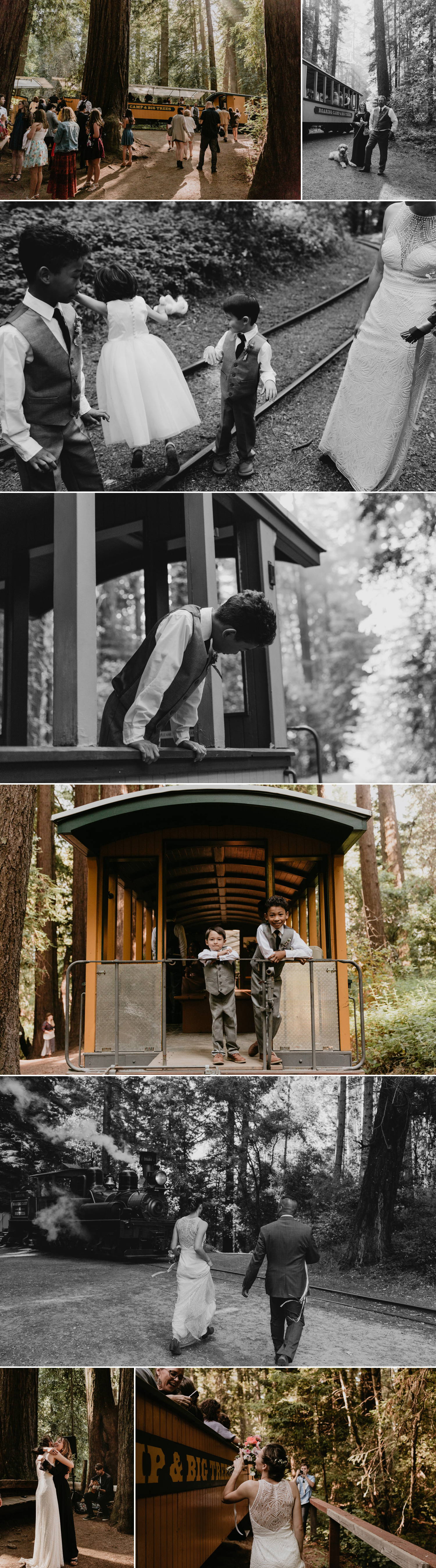 A celtic style Santa Cruz Redwoods wedding at Roaring Camp by Kadi Tobin, a Santa Cruz wedding Photographer