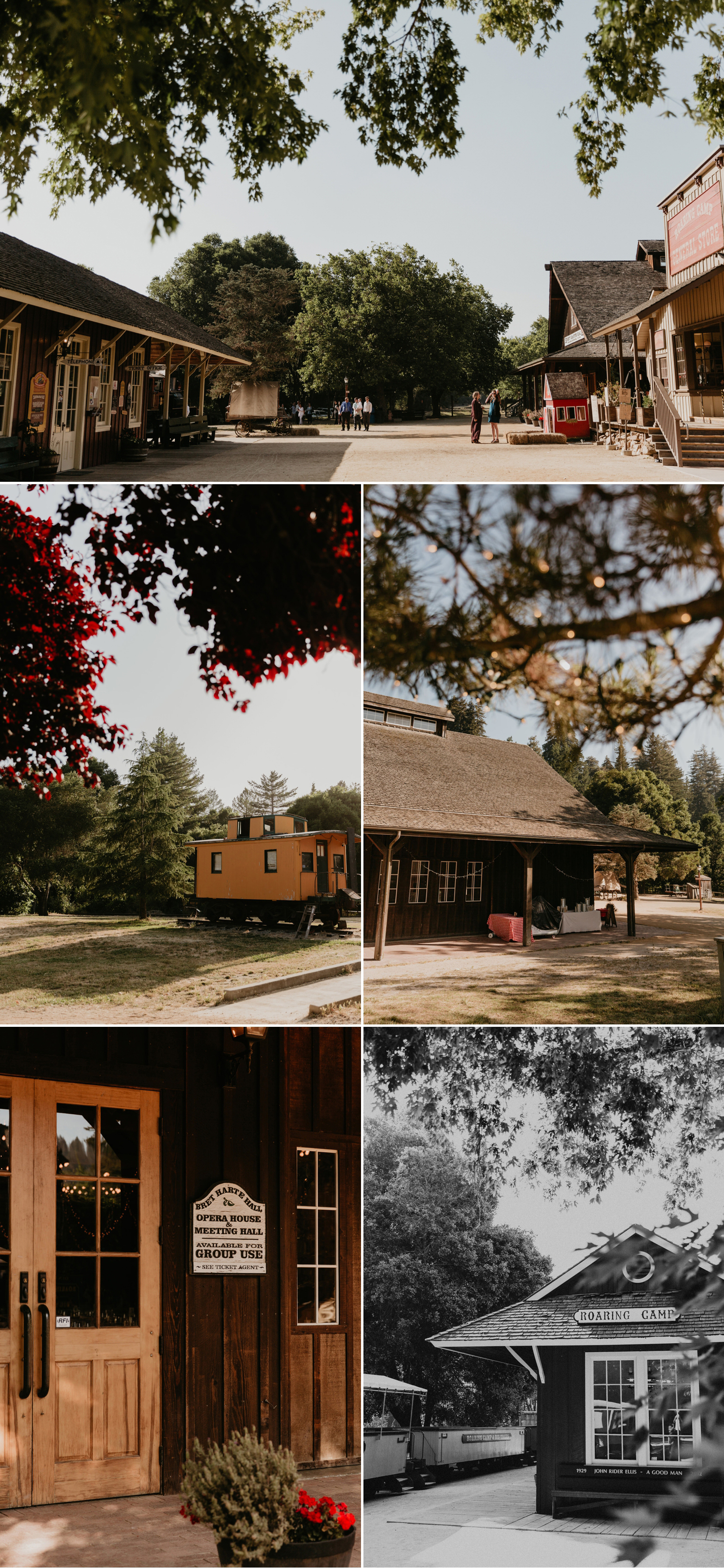 A celtic style Santa Cruz Redwoods wedding at Roaring Camp by Kadi Tobin, a Santa Cruz wedding Photographer