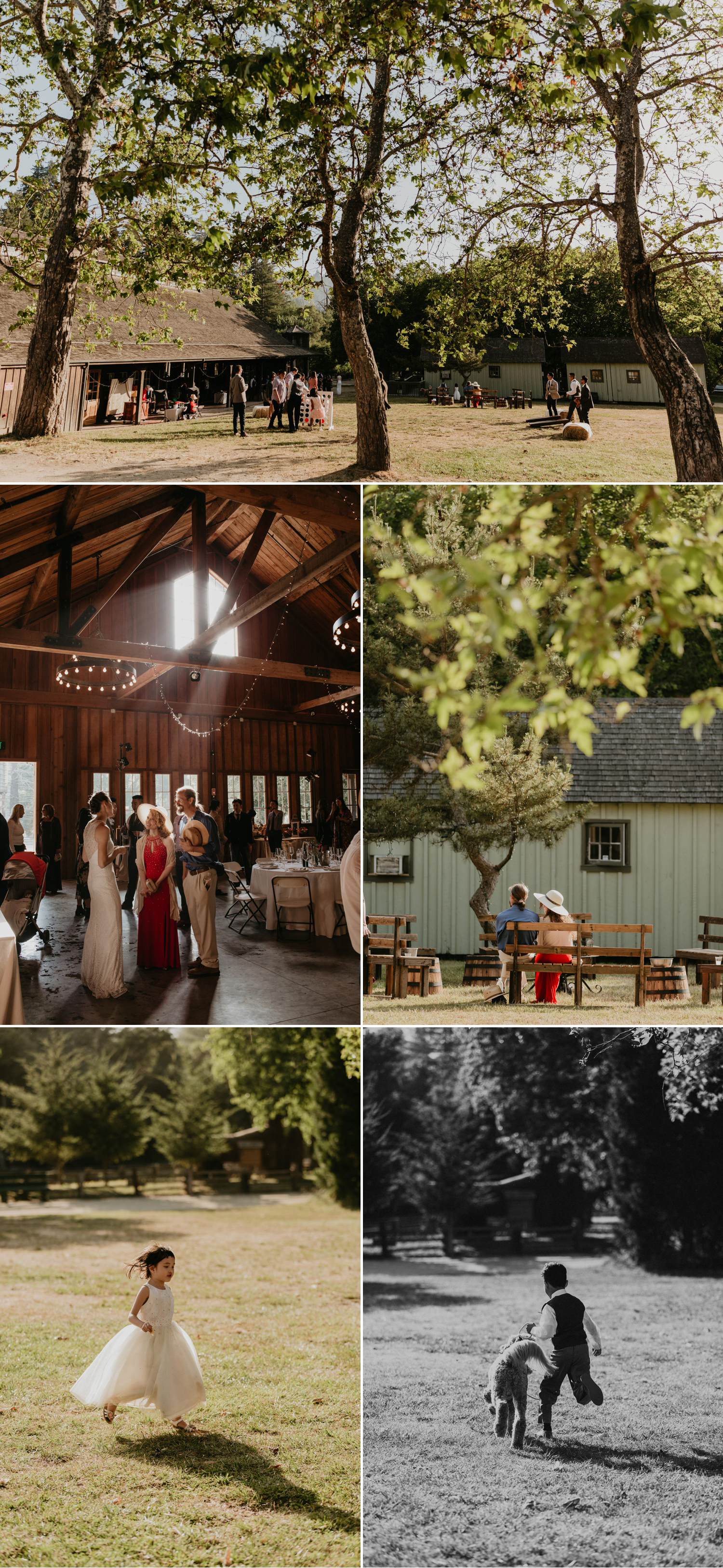 A celtic style Santa Cruz Redwoods wedding at Roaring Camp by Kadi Tobin, a Santa Cruz wedding Photographer