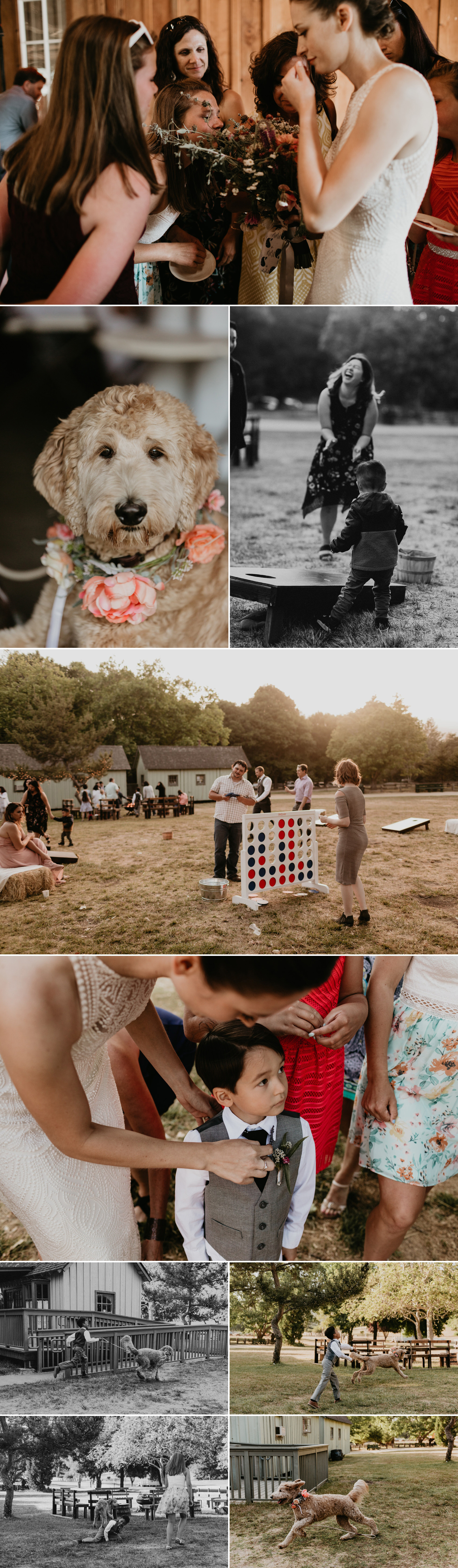 A celtic style Santa Cruz Redwoods wedding at Roaring Camp by Kadi Tobin, a Santa Cruz wedding Photographer