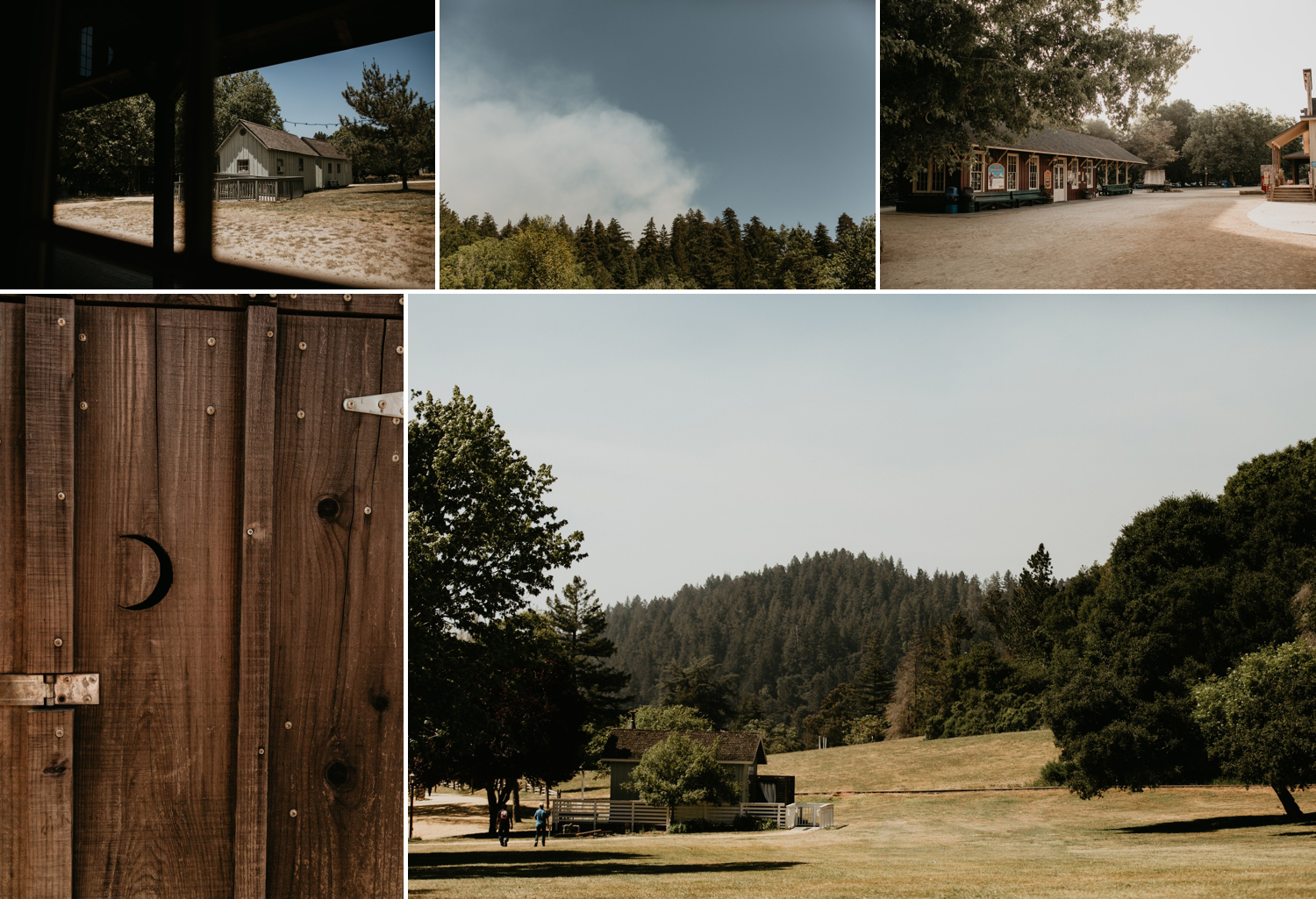 A celtic style Santa Cruz Redwoods wedding at Roaring Camp by Kadi Tobin, a Santa Cruz wedding Photographer