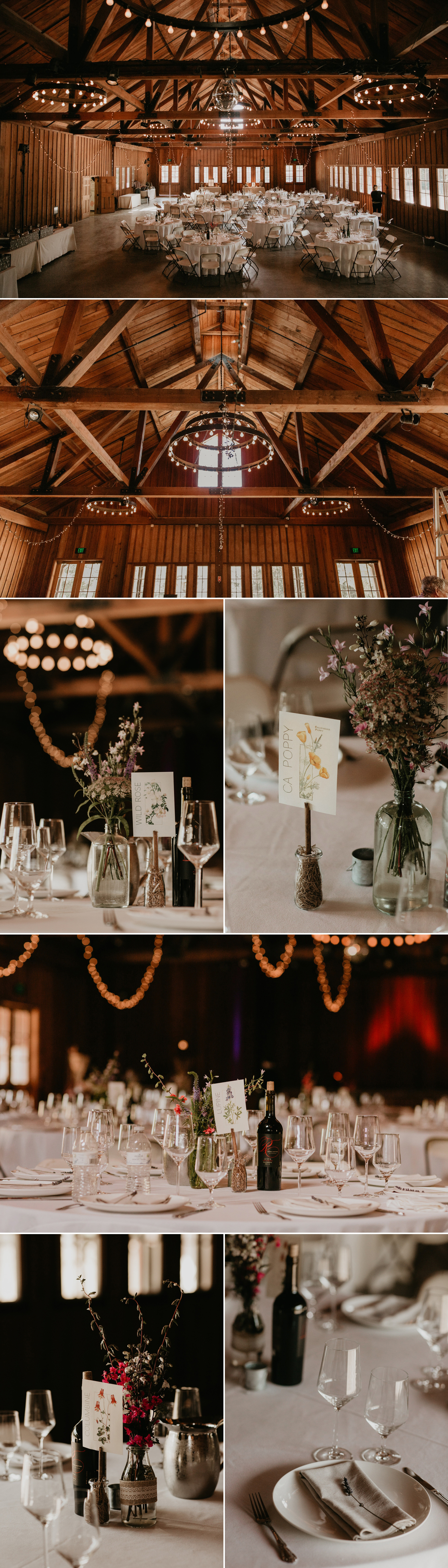 A celtic style Santa Cruz Redwoods wedding at Roaring Camp by Kadi Tobin, a Santa Cruz wedding Photographer