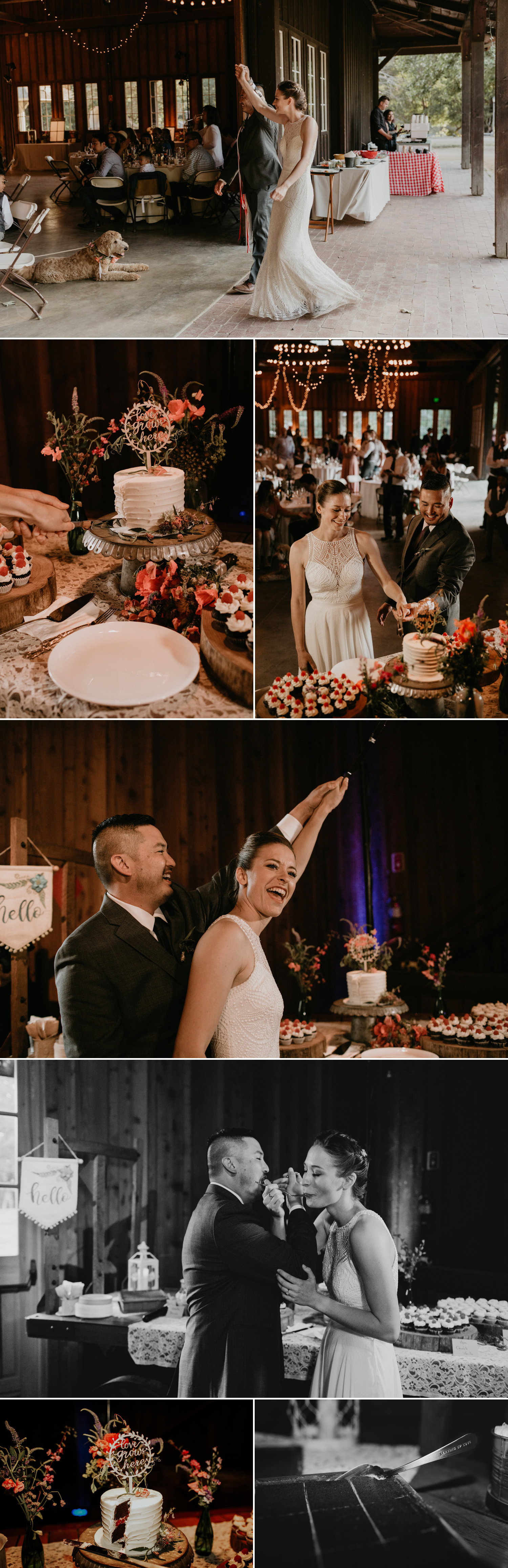 A celtic style Santa Cruz Redwoods wedding at Roaring Camp by Kadi Tobin, a Santa Cruz wedding Photographer