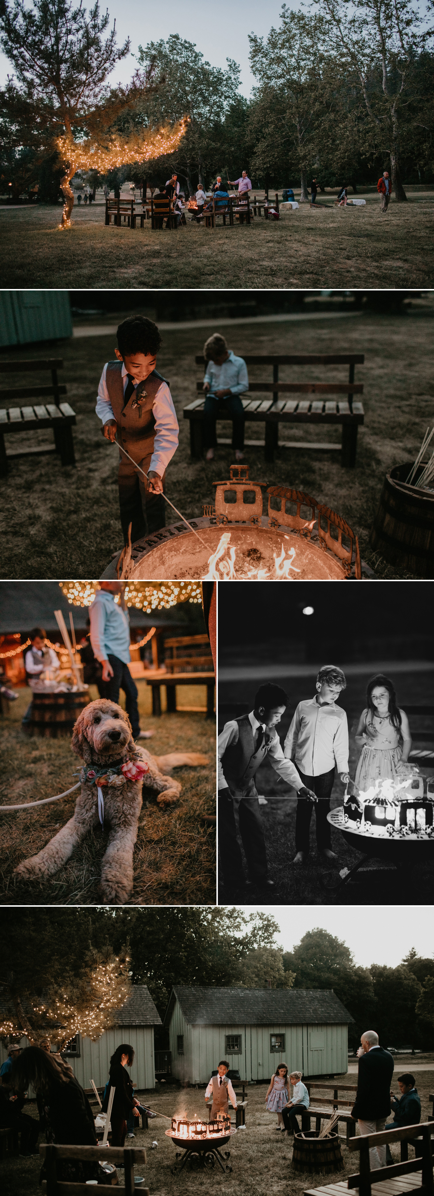 A celtic style Santa Cruz Redwoods wedding at Roaring Camp by Kadi Tobin, a Santa Cruz wedding Photographer