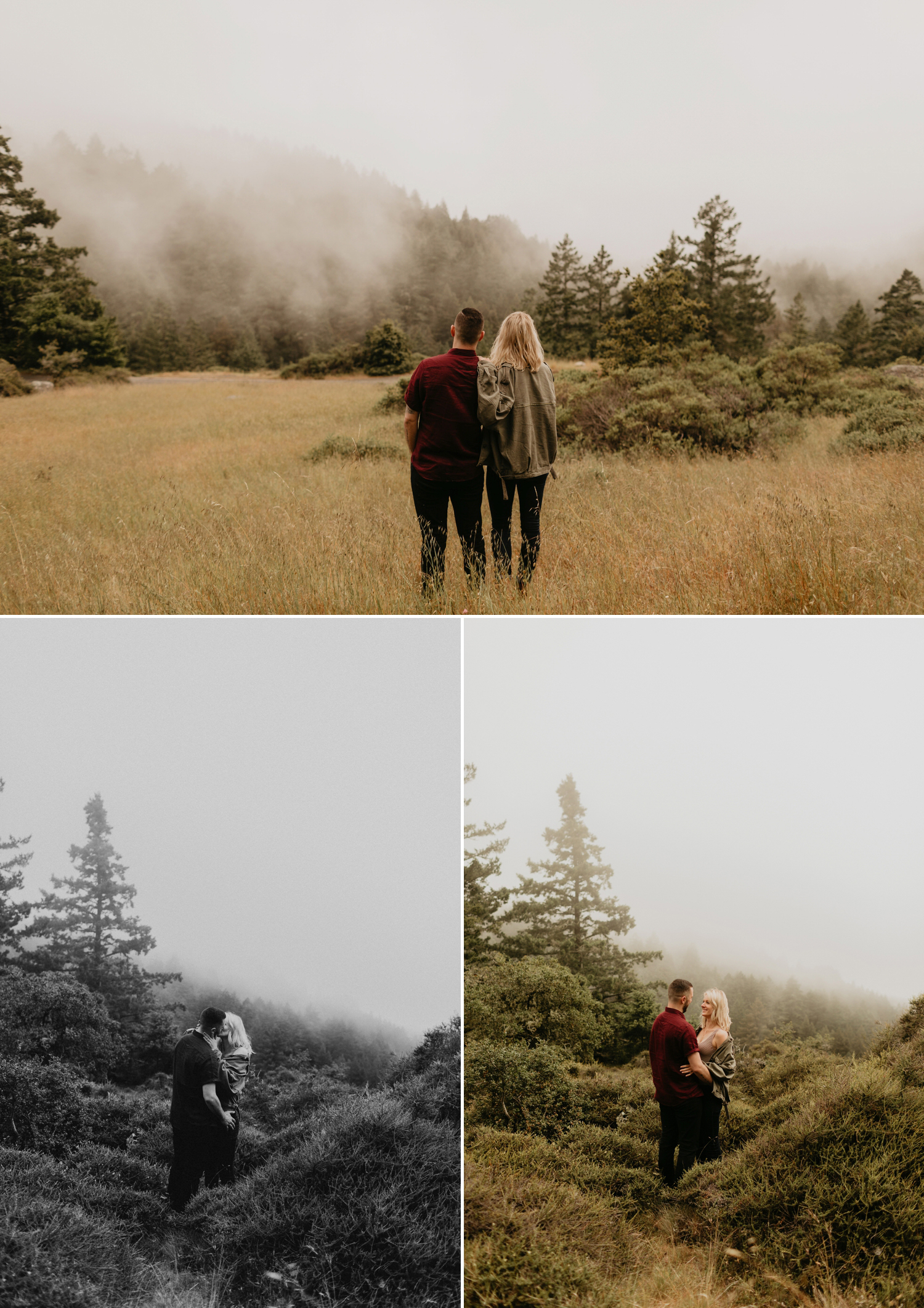 forest engagement in San Francisco