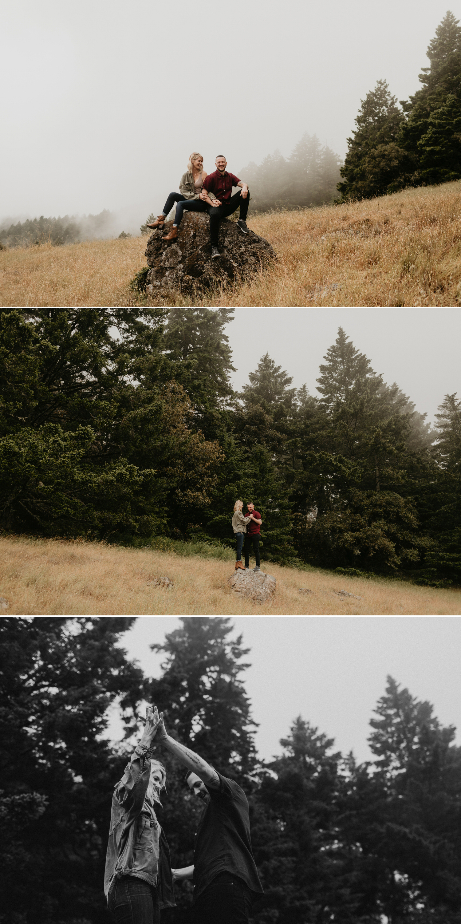 forest engagement in San Francisco