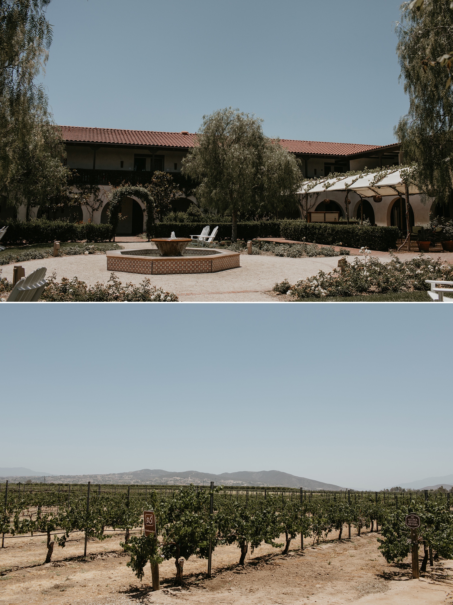 Temecula Winery Wedding