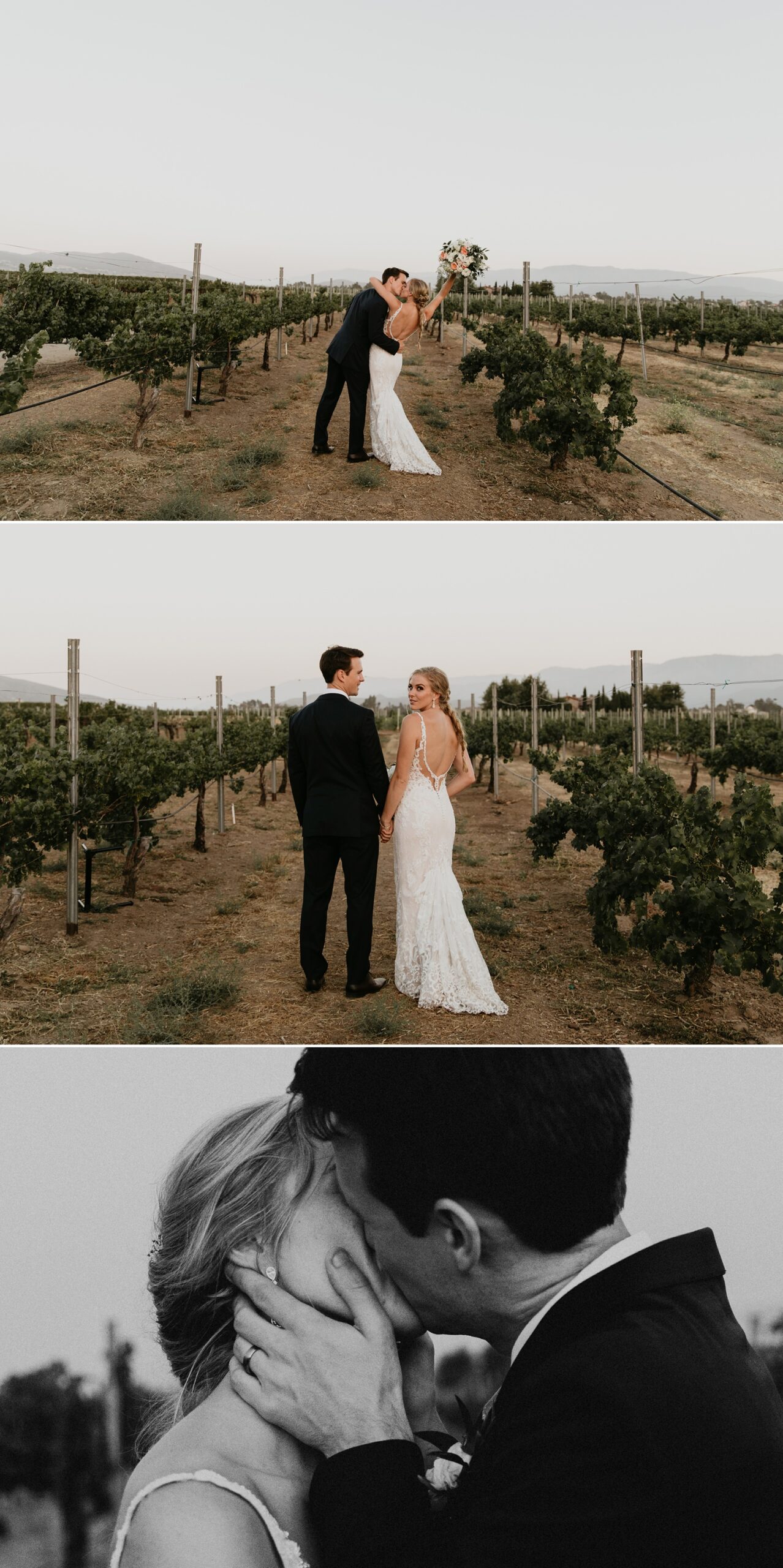 San Diego Winery Wedding