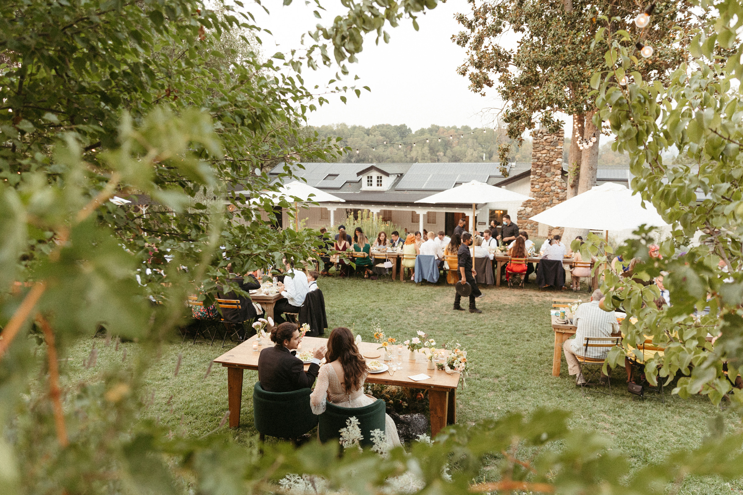 bride and groom enjoying their paella for dinner in at Yokayo ranch in Mendocino California by San Diego wedding photographer Kadi tobin.