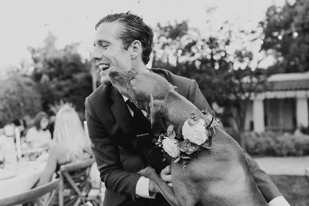 Groom and his beloved dog loving their backyard wedding in San Diego