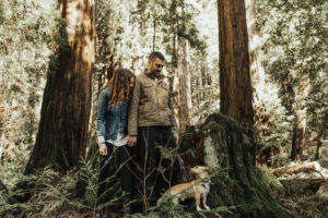 couple’s engagement photography session in santa cruz at henry cowell redwoods state park and wilder ranch by Kadi Tobin