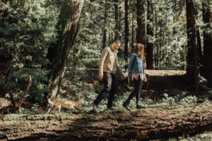 couple’s engagement photography session in santa cruz at henry cowell redwoods state park and wilder ranch by Kadi Tobin