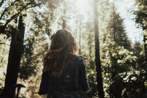 couple’s engagement photography session in santa cruz at henry cowell redwoods state park and wilder ranch by Kadi Tobin