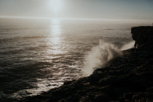 couple’s engagement photography session in santa cruz at henry cowell redwoods state park and wilder ranch by Kadi Tobin