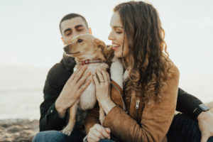 couple’s engagement photography session in santa cruz at henry cowell redwoods state park and wilder ranch by Kadi Tobin
