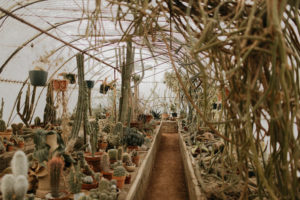 Lindsay and Joels bohemian engagement at Moorten botanical gardens and the palm springs windmills by Kadi Tobin Photography a Palm Springs Wedding Photographer