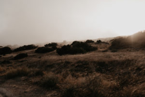 Romantic and Inspirational Catalina Island Elopement on the remote side of the island shark harbor