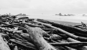 A rainy ruby beach engagement session in Olympic National Park, Washington by Kadi Tobin Photography