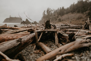 A rainy ruby beach engagement session in Olympic National Park, Washington by Kadi Tobin Photography