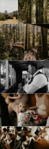 A celtic style Santa Cruz Redwoods wedding at Roaring Camp by Kadi Tobin, a Santa Cruz wedding Photographer