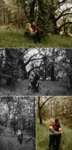 forest engagement in San Francisco