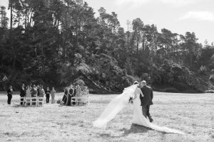 Randalyn and Amir's intimate central coast wedding in a field in Cambria.